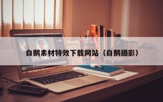 铁岭白鹅素材特效下载网站（白鹅摄影）